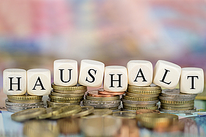 Symbolbild Haushalt