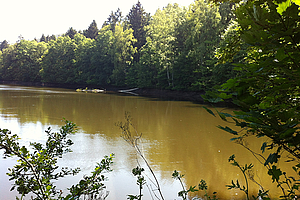 Die Wohrateiche bei Haina (Kloster) (Foto: LWV)