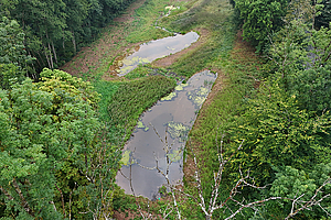Drohnenaufnahme der Kettenteiche von oben. (Foto: Regierungspräsidium Kassel)