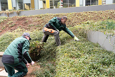 Simon Schmidthöfer mit Vorarbeiter Nils Schwantes