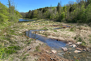 Visualisierung des Verlaufs der Wohra in Zukunft.
