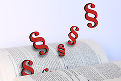 Schriftwerk mit Paragraphen